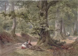 Hellersdon Wood, Devonshire, by Mole, watercolor, 1873