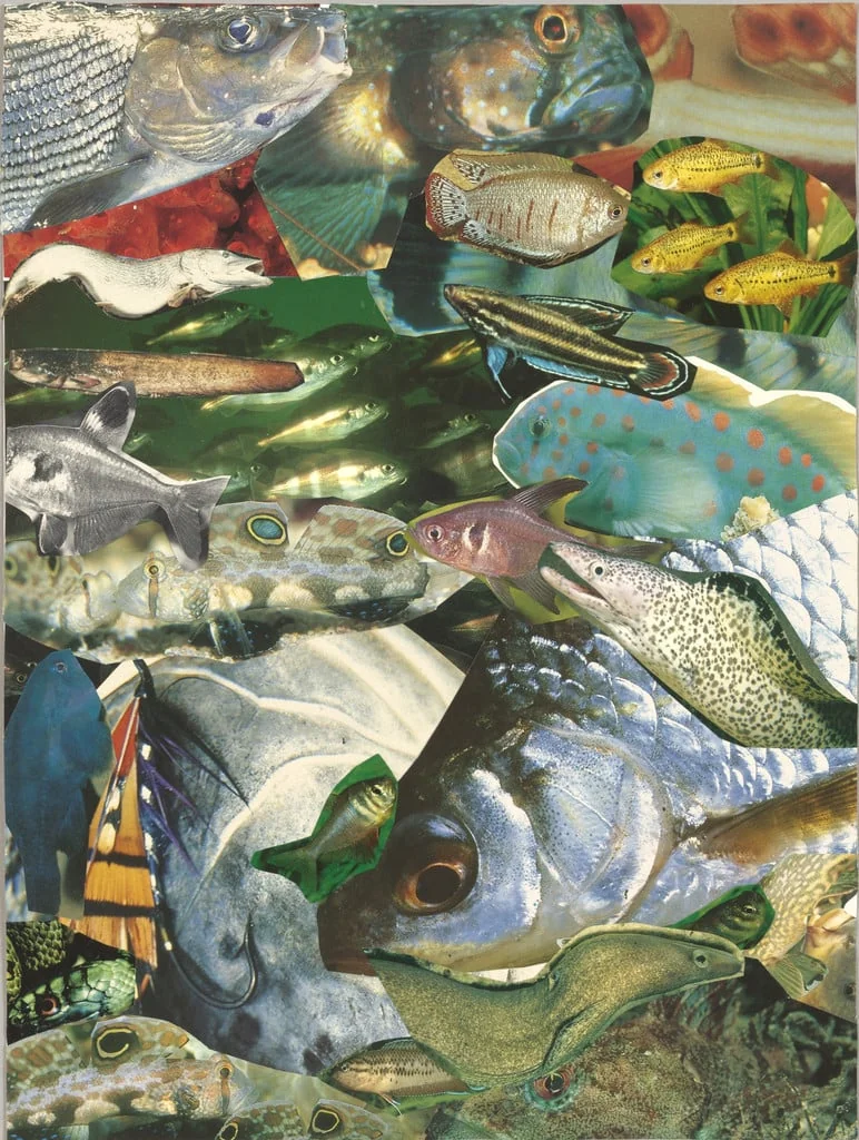 Untitled, detail