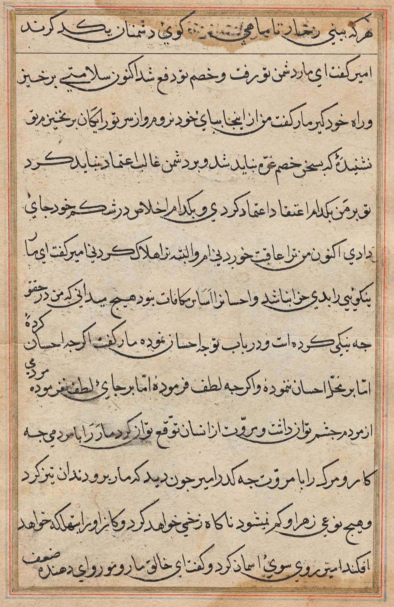 Page from Tales of a Parrot (Tuti-nama): text page, detail