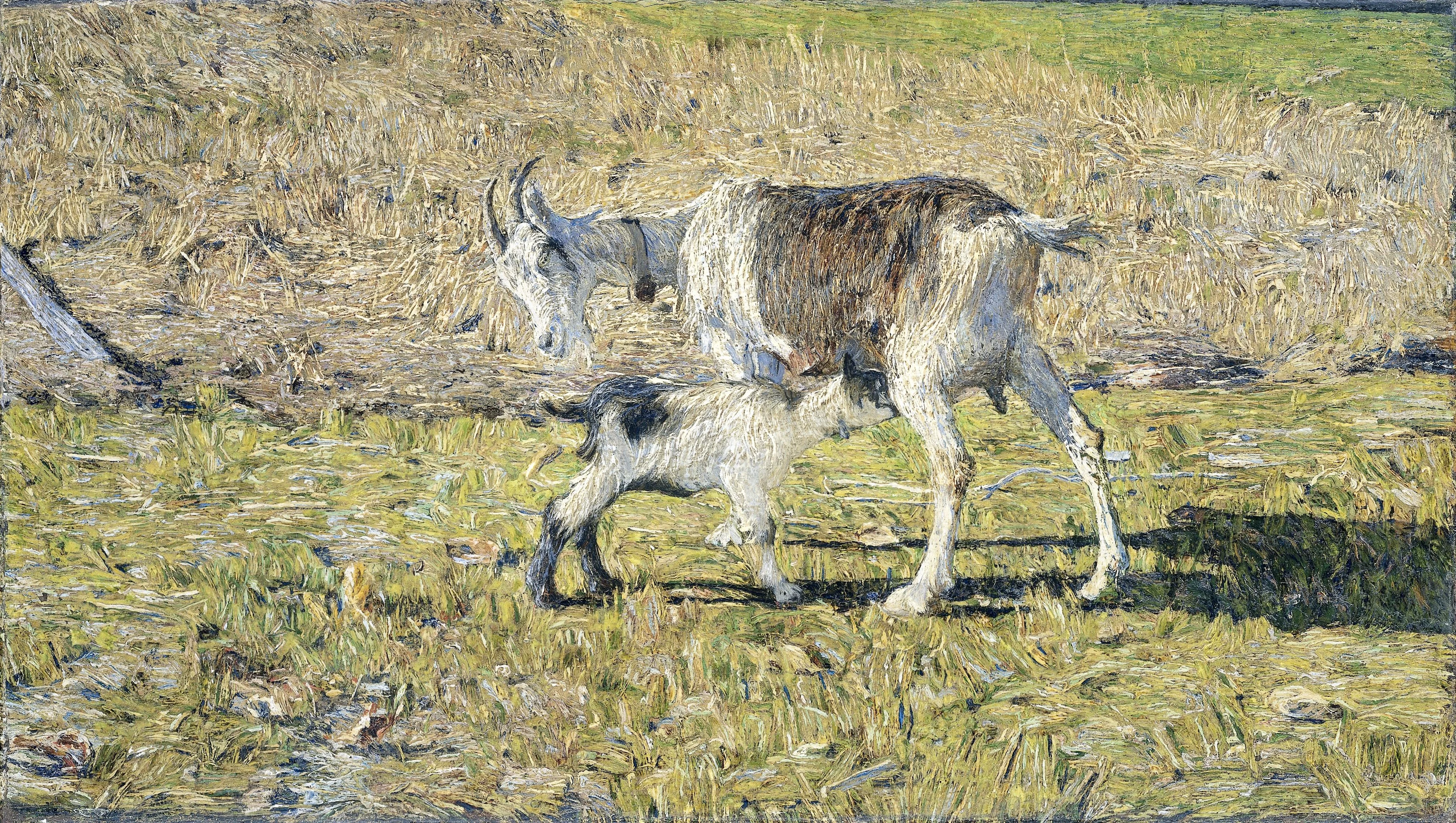 A Goat with her Kid, detail