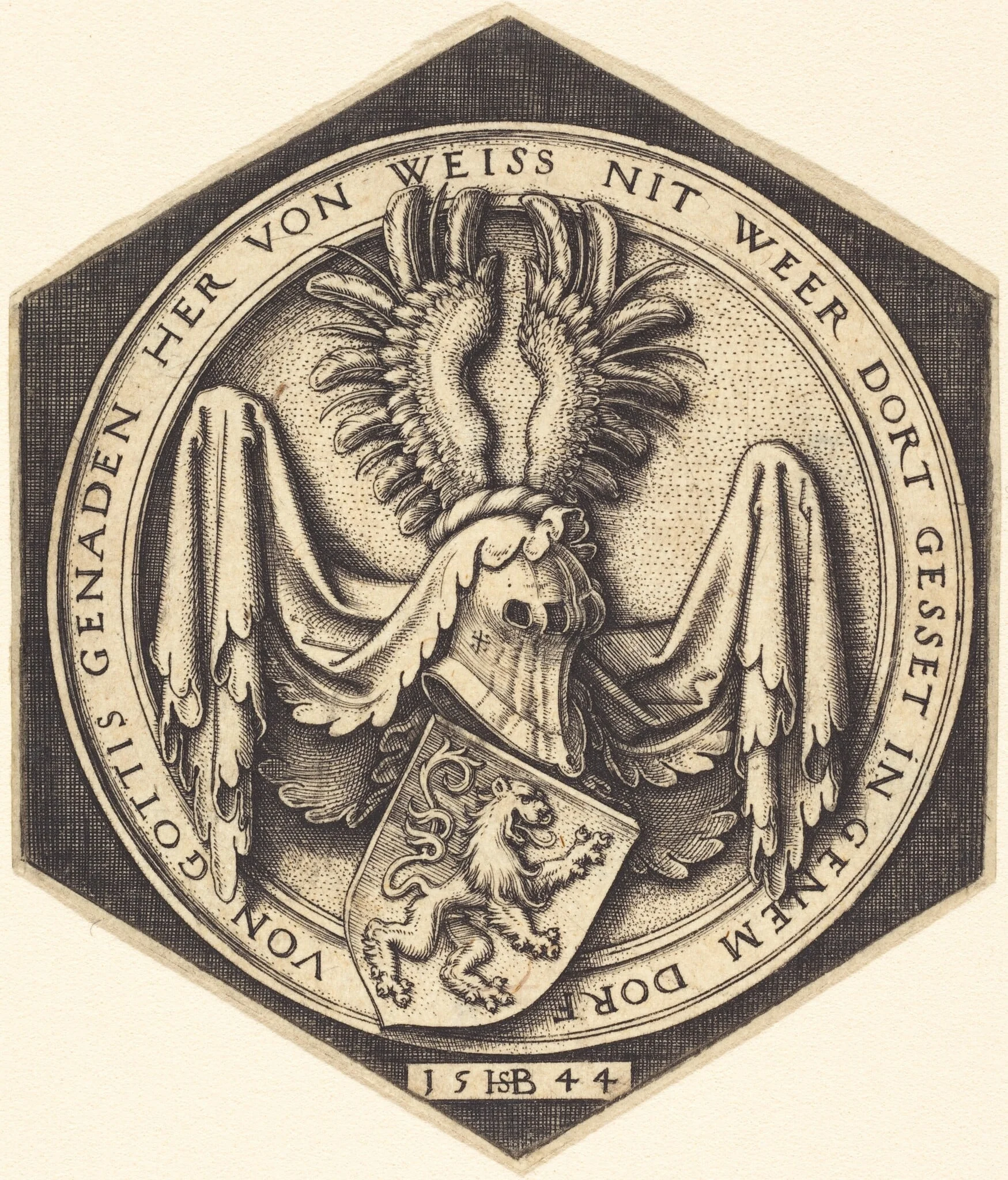 Coat of Arms with a Rampant Lion, detail