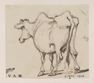 A cow, by George Chinnery, 19