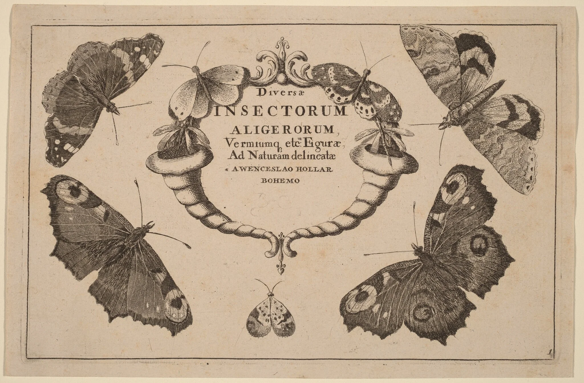 Title Page, detail