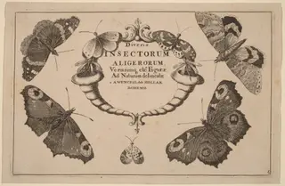 Title Page, by Wenceslaus Hollar, ink, 1648