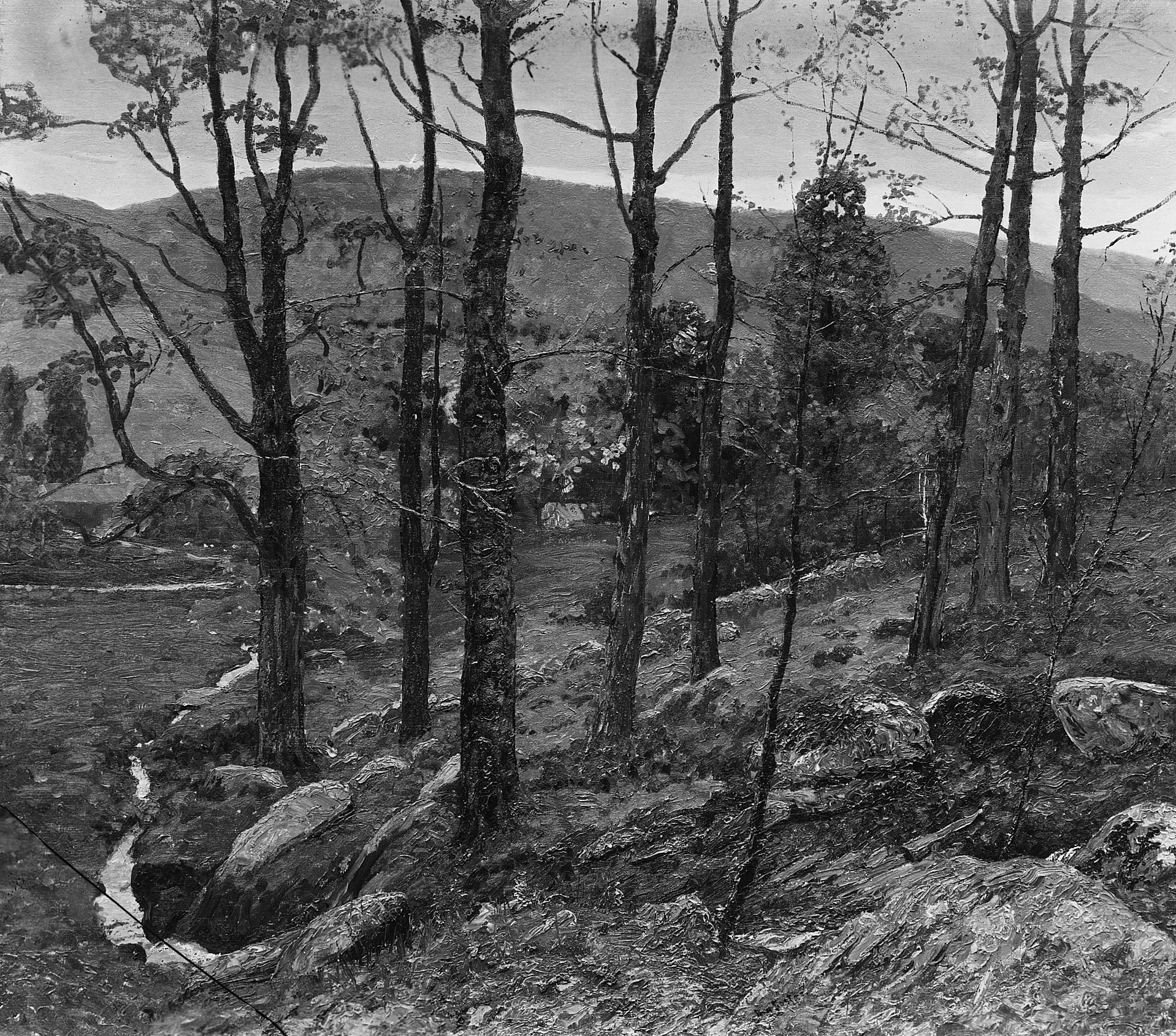 In the Connecticut Hills, detail