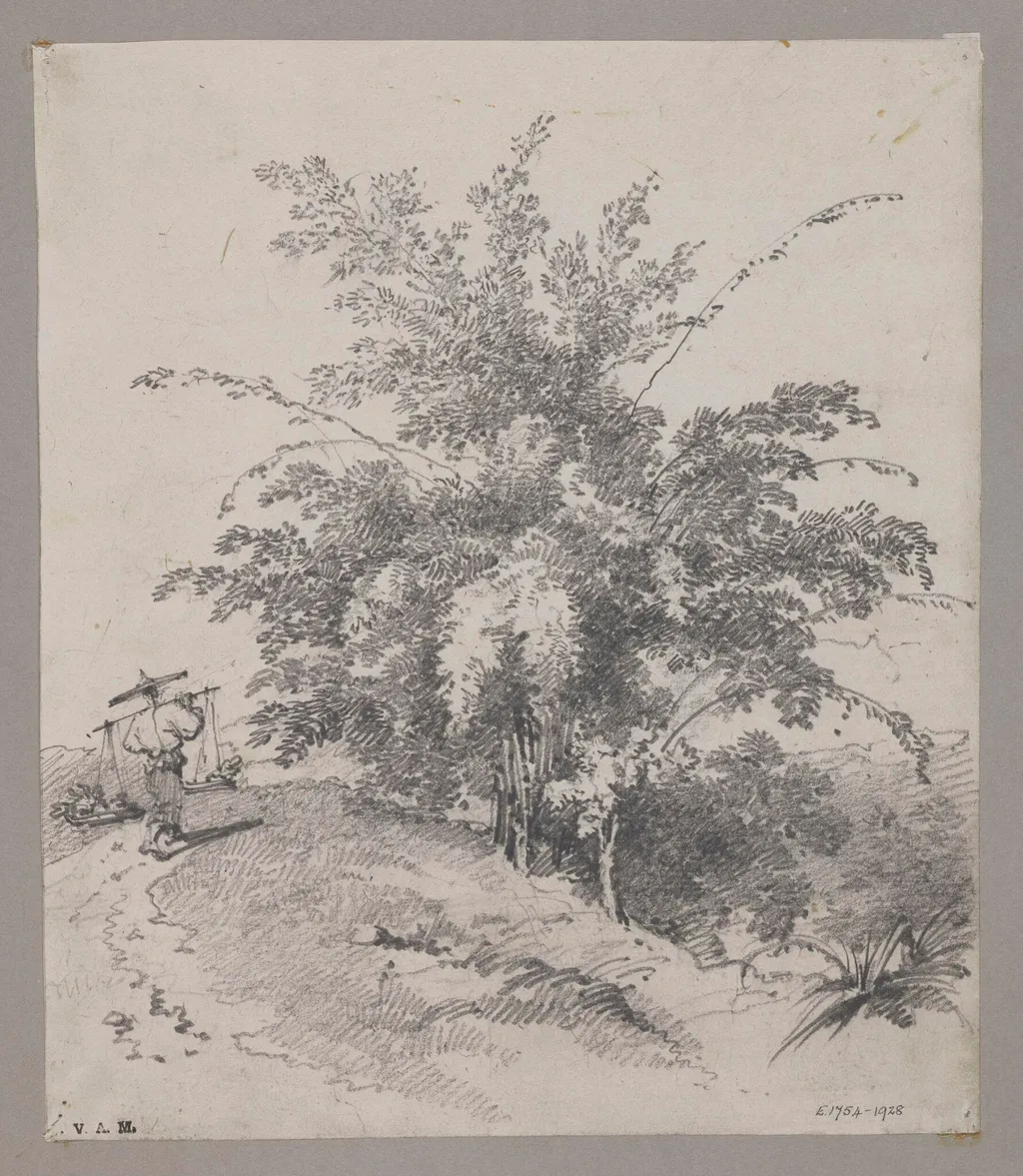 Bamboo tree, by George Chinnery, 19