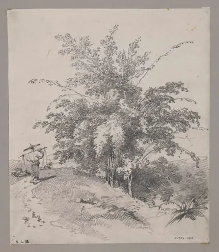 Bamboo tree, by George Chinnery, 19