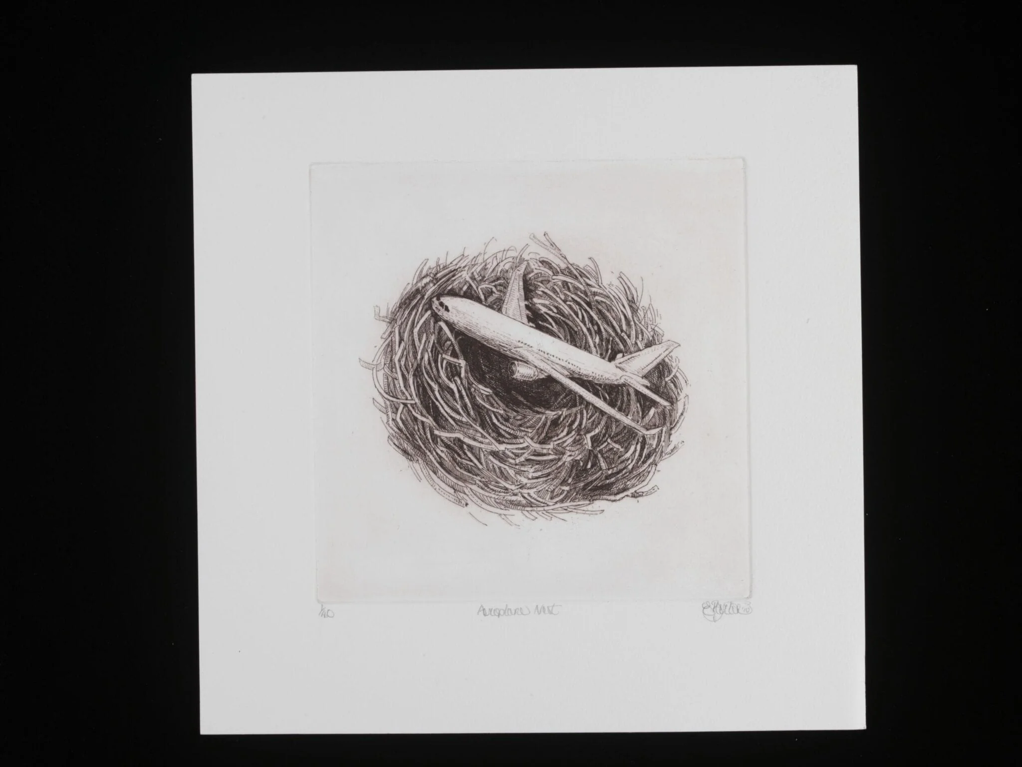 Aeroplane Nest, detail
