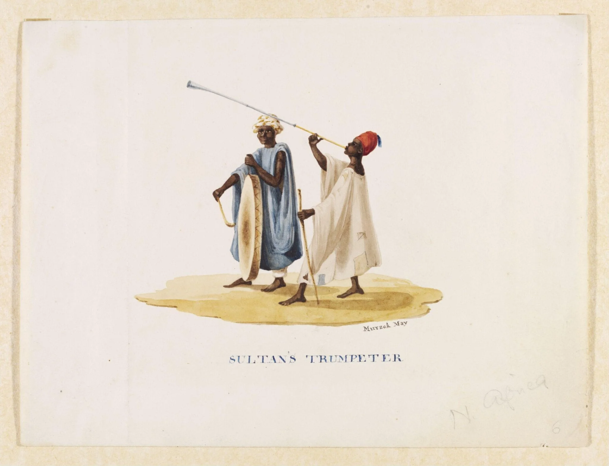 Sultan's Trumpeter, detail