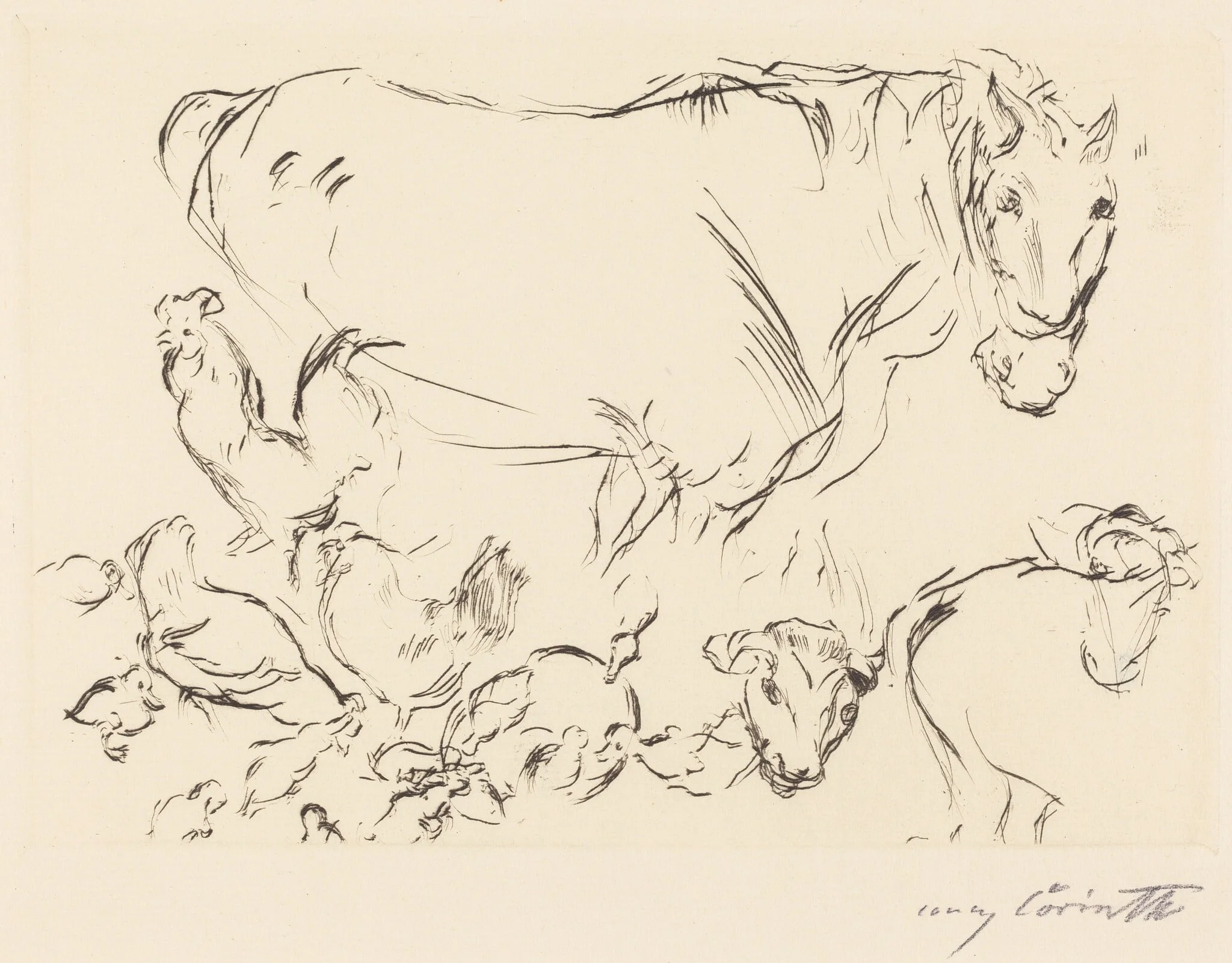 Verschiedene Tierstudien (Animal Studies), detail