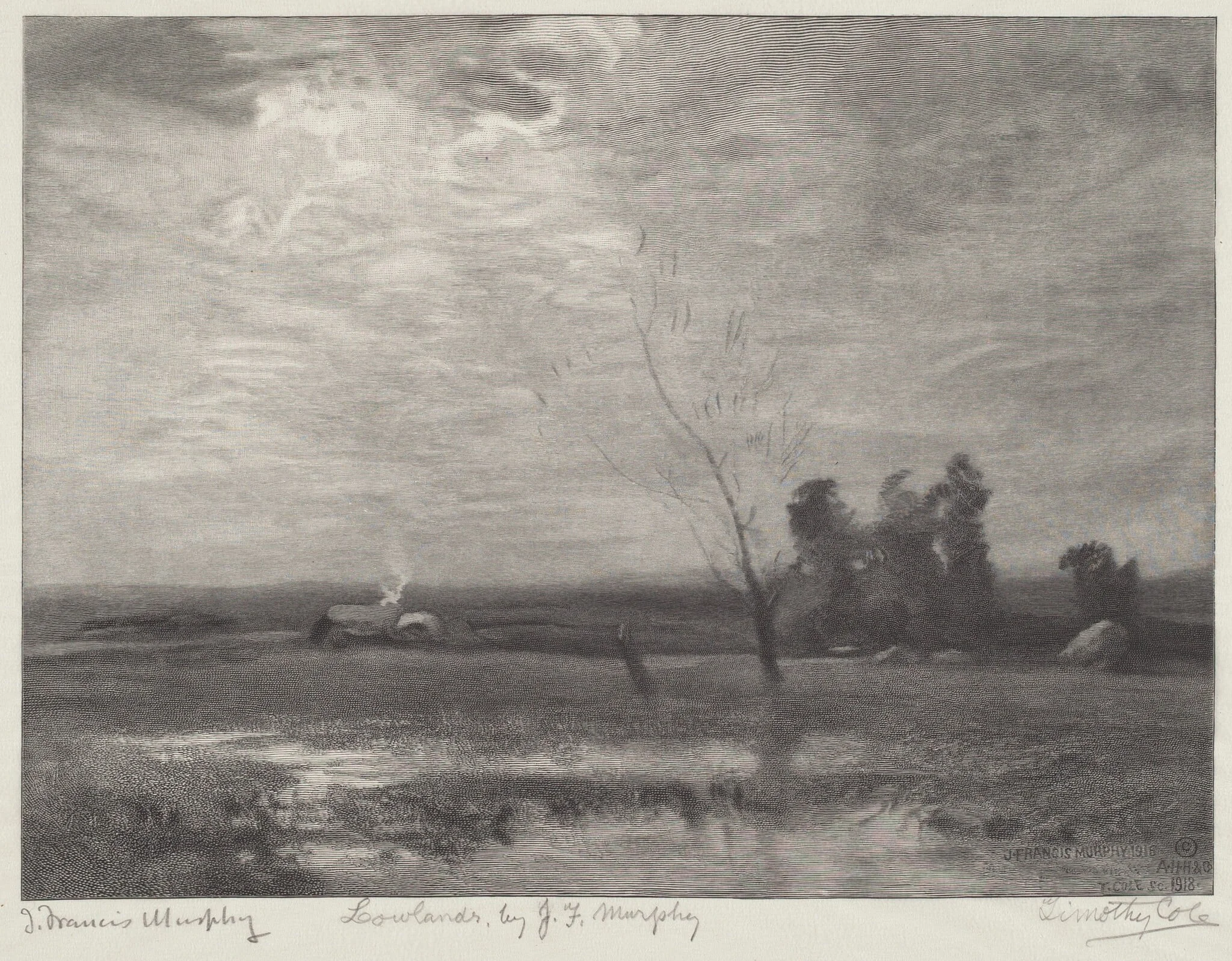 Lowlands, detail