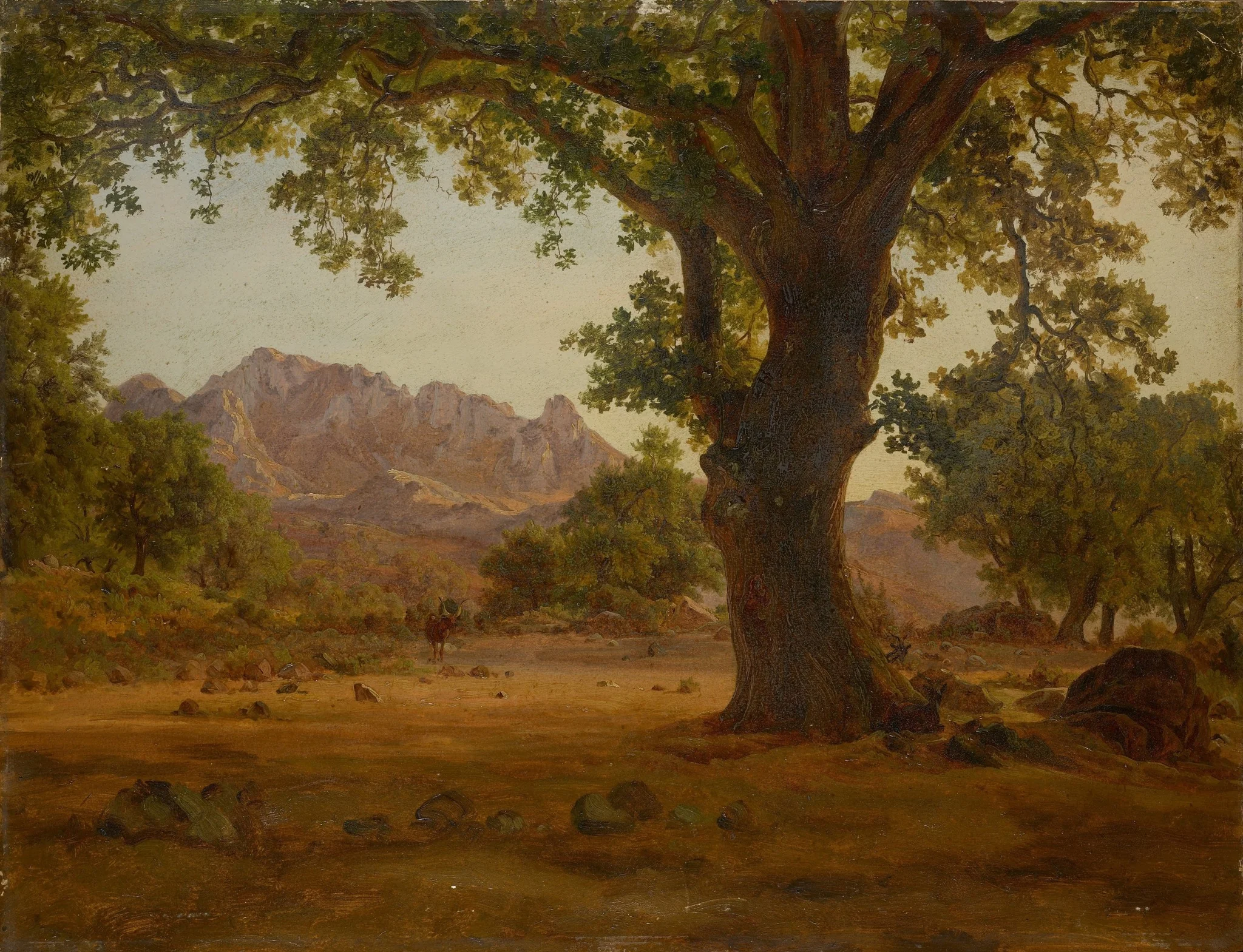 Oak Tree in a Mountainous Landscape, detail