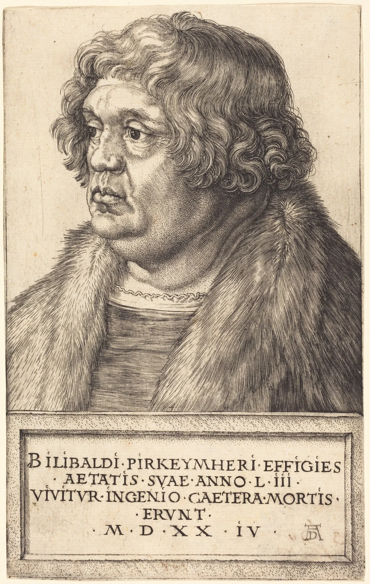 Willibald Pirckheimer, detail