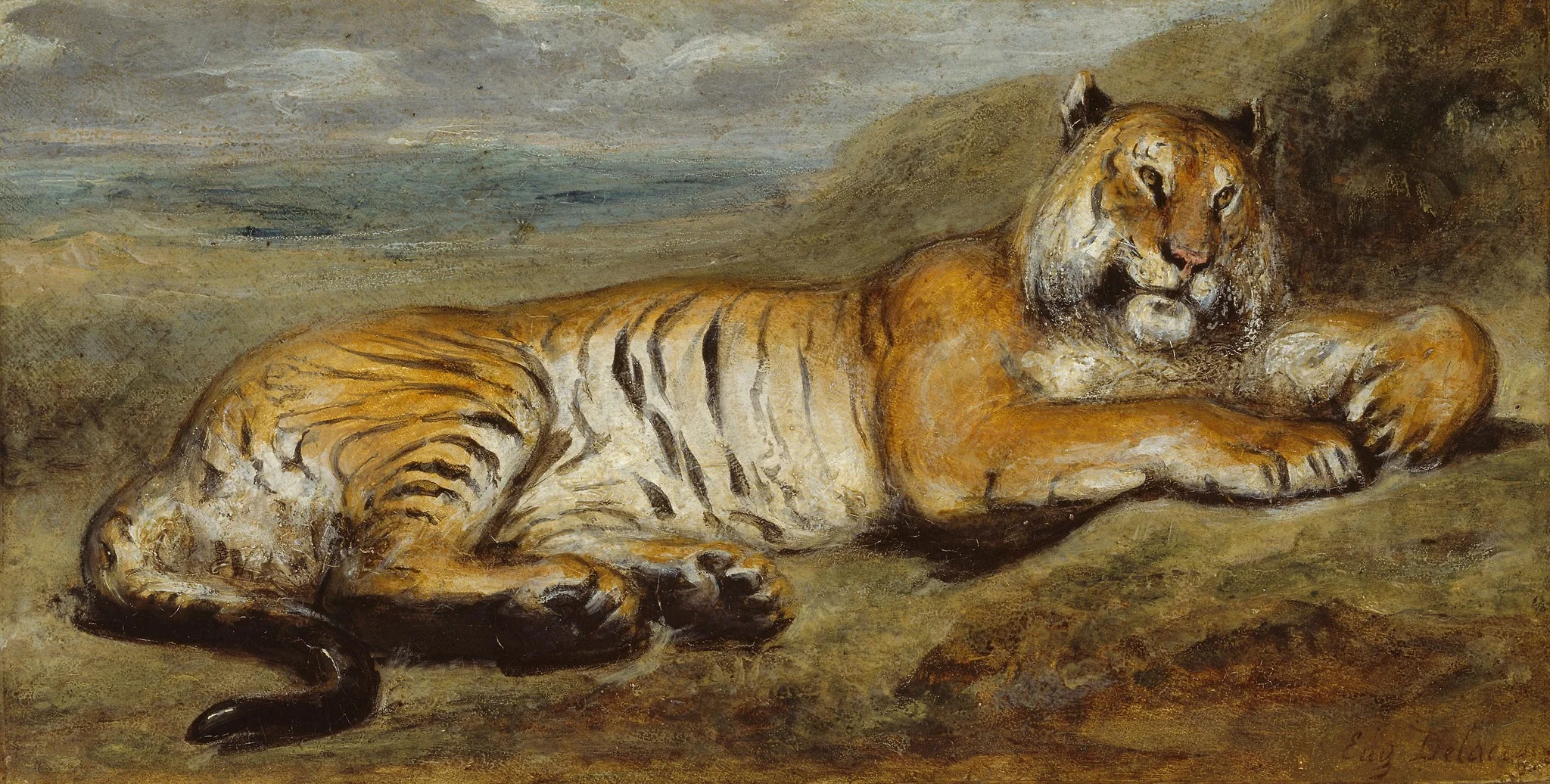 Tiger Resting, detail