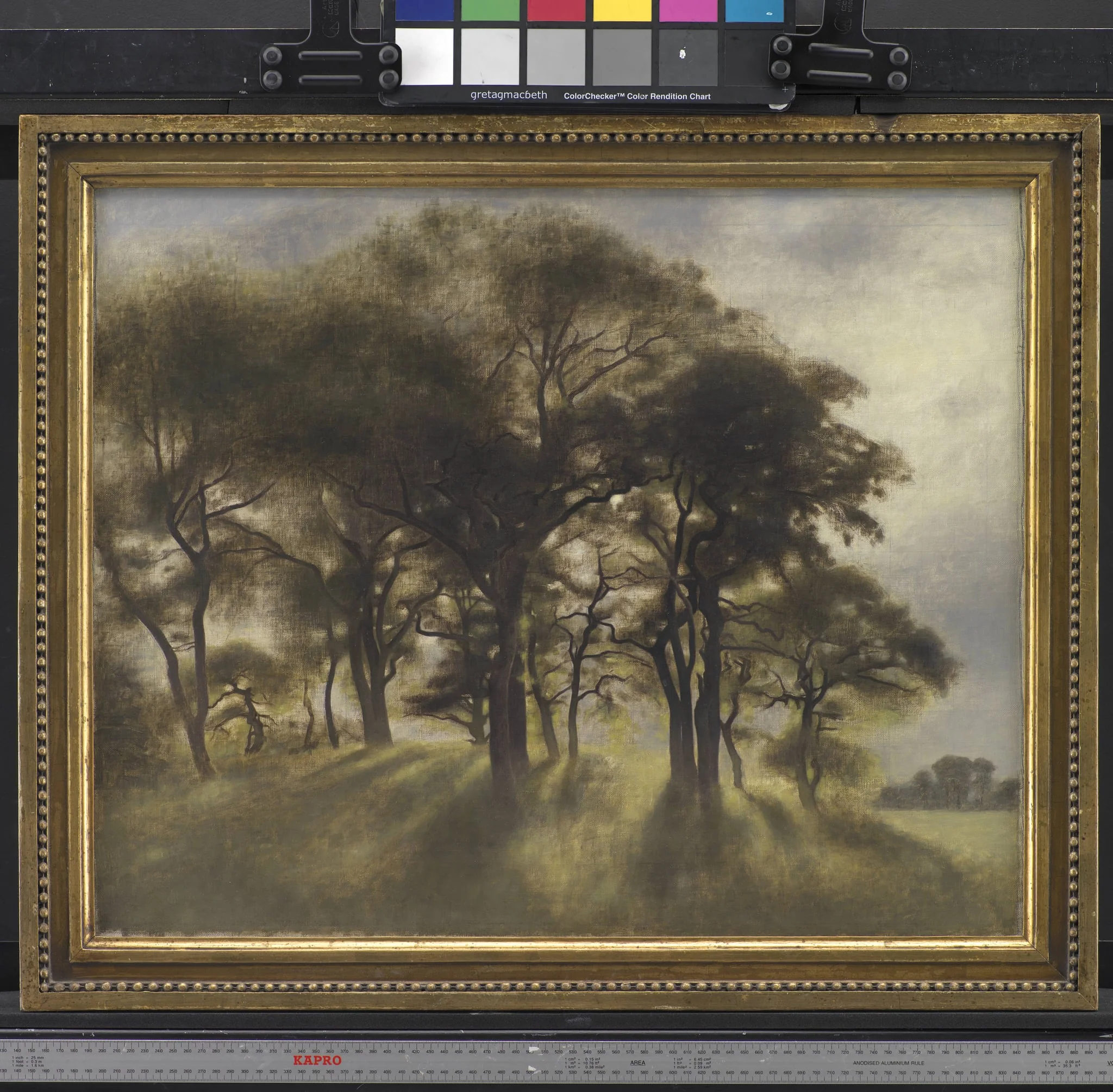 Near Fortunen, Jægersborg Deer Park, North of Copenhagen, detail