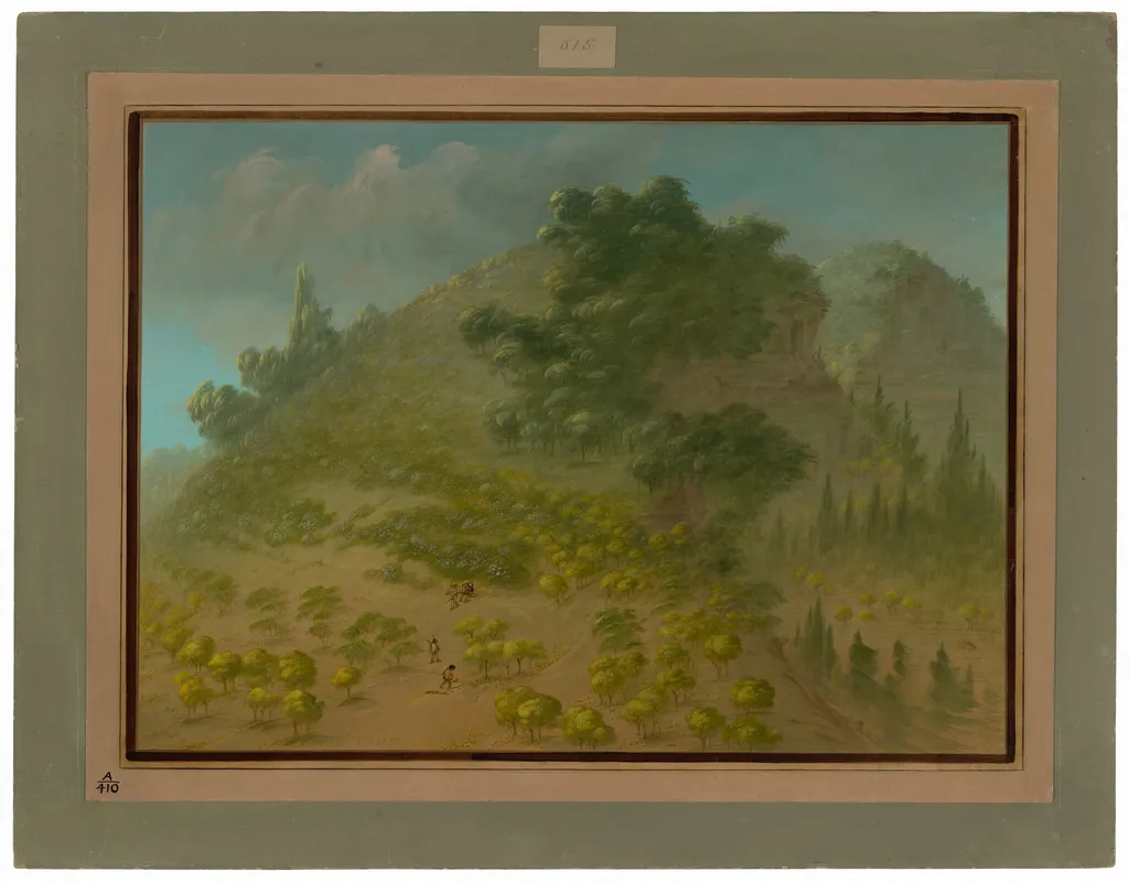 Rhododendron Mountain, by George Catlin, oil, 1862