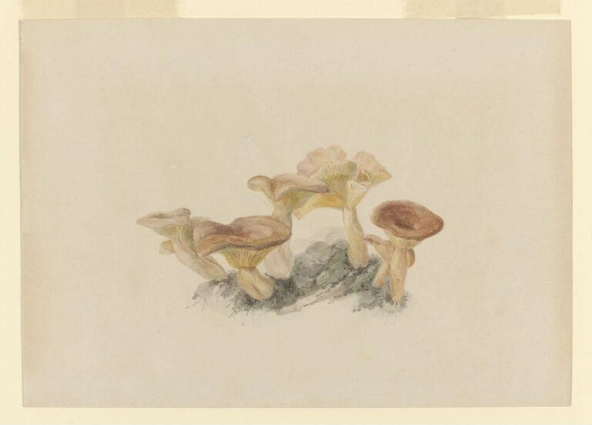 Untitled, detail