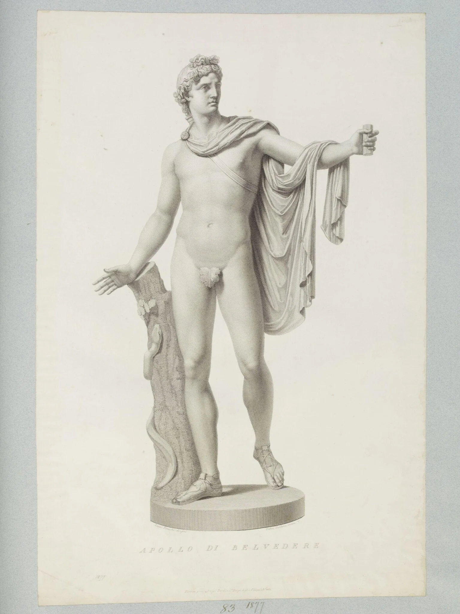 Apollo di Belvedere, detail