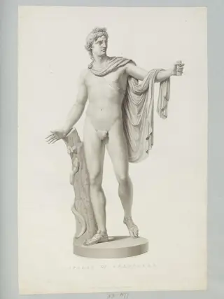 Apollo di Belvedere, by Pietro Fontana, 1850