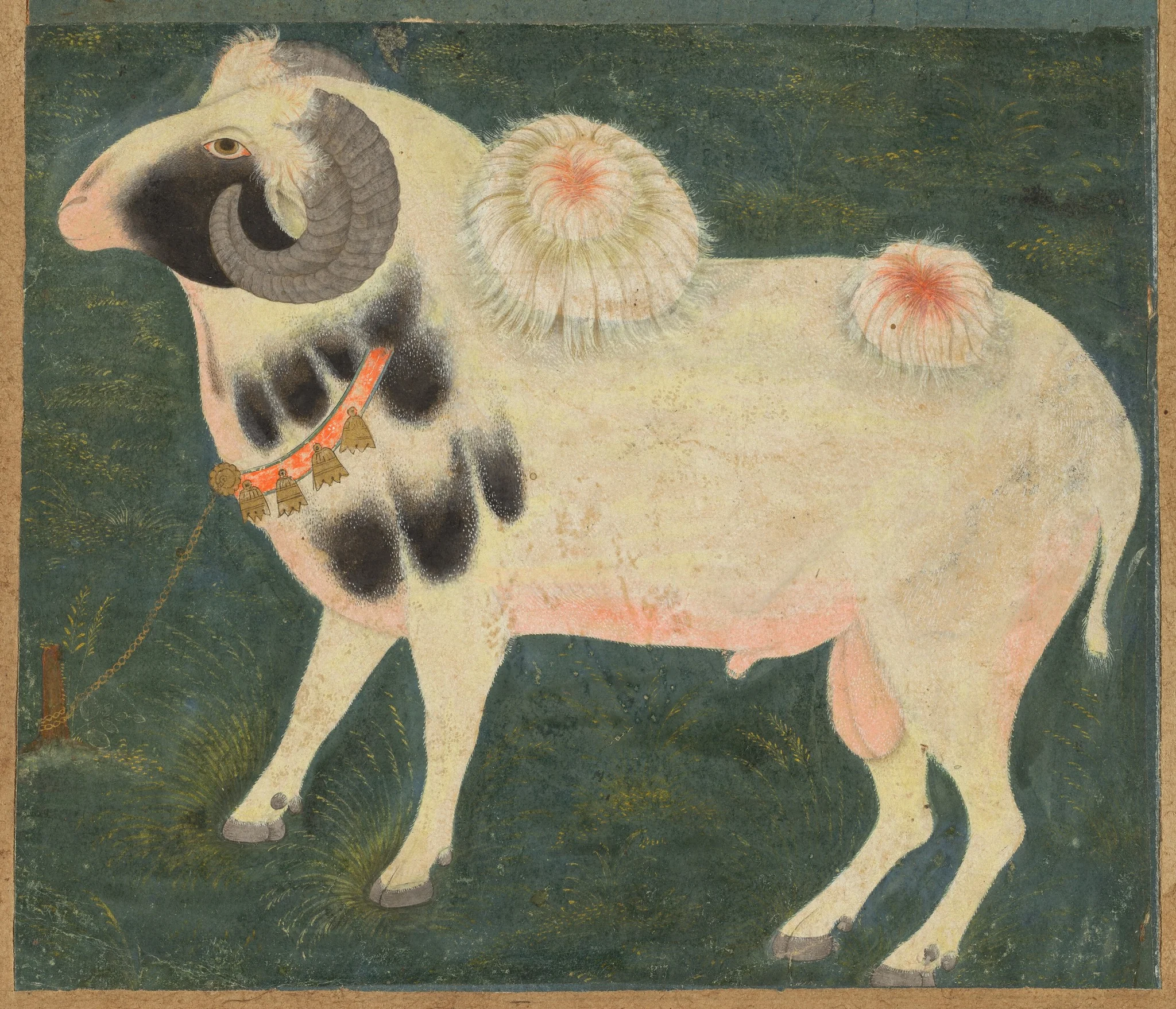 A royal ram with a gold chain, detail