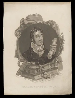 H Beard Print Collection, by William Marshall Craig, 25