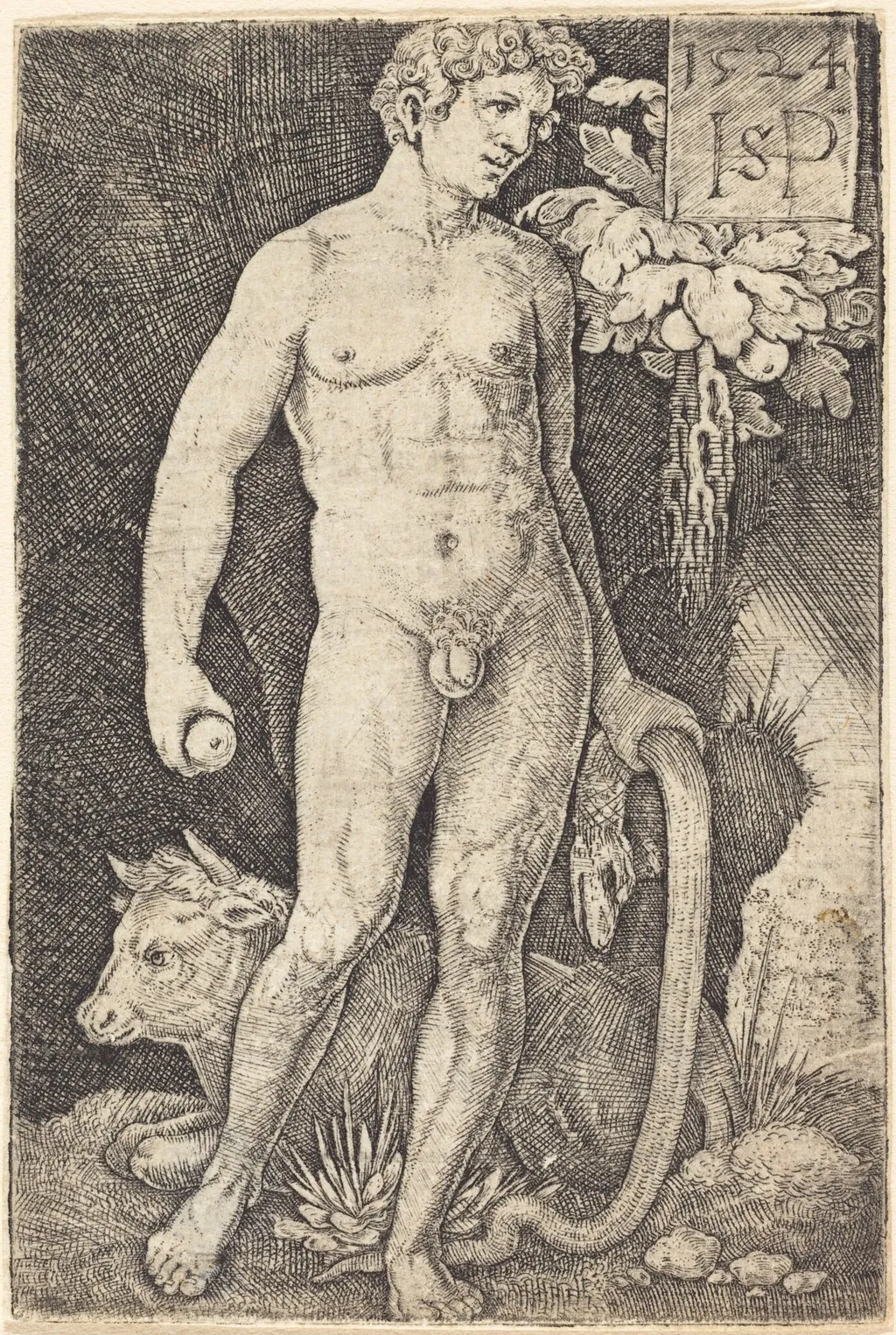 Adam Standing, by Sebald Beham, ink, 1524