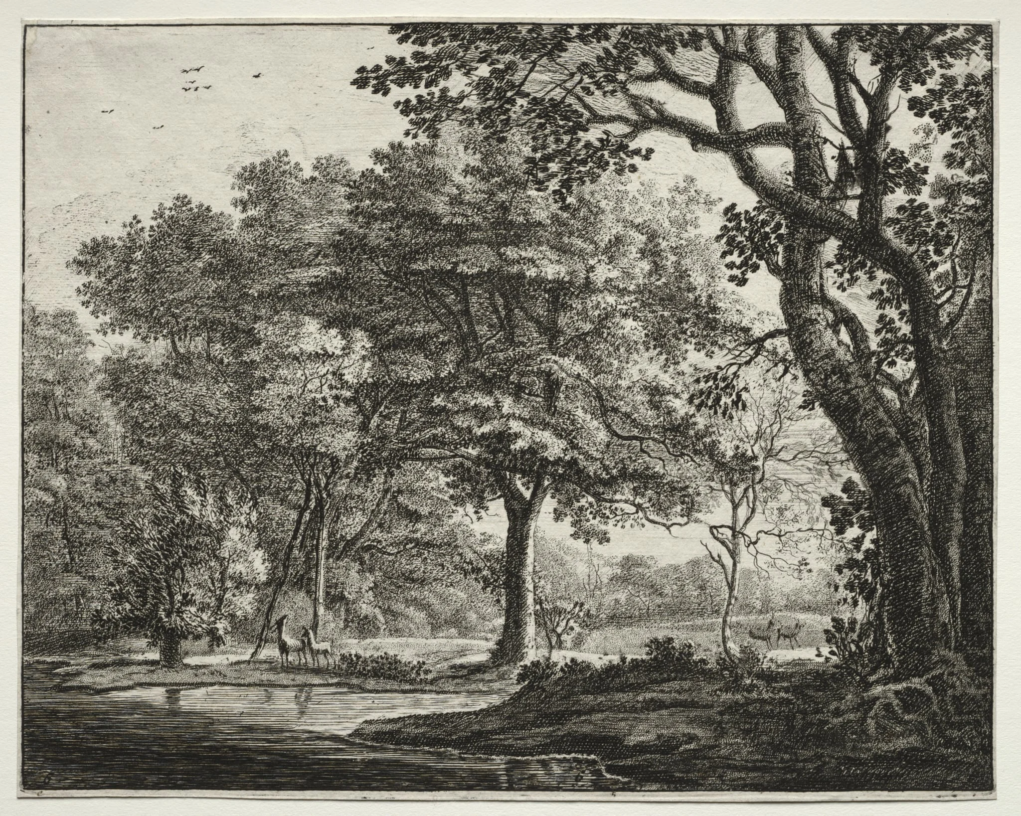Six views in the Wood of the Hague: Plate 6, Two Deer, detail