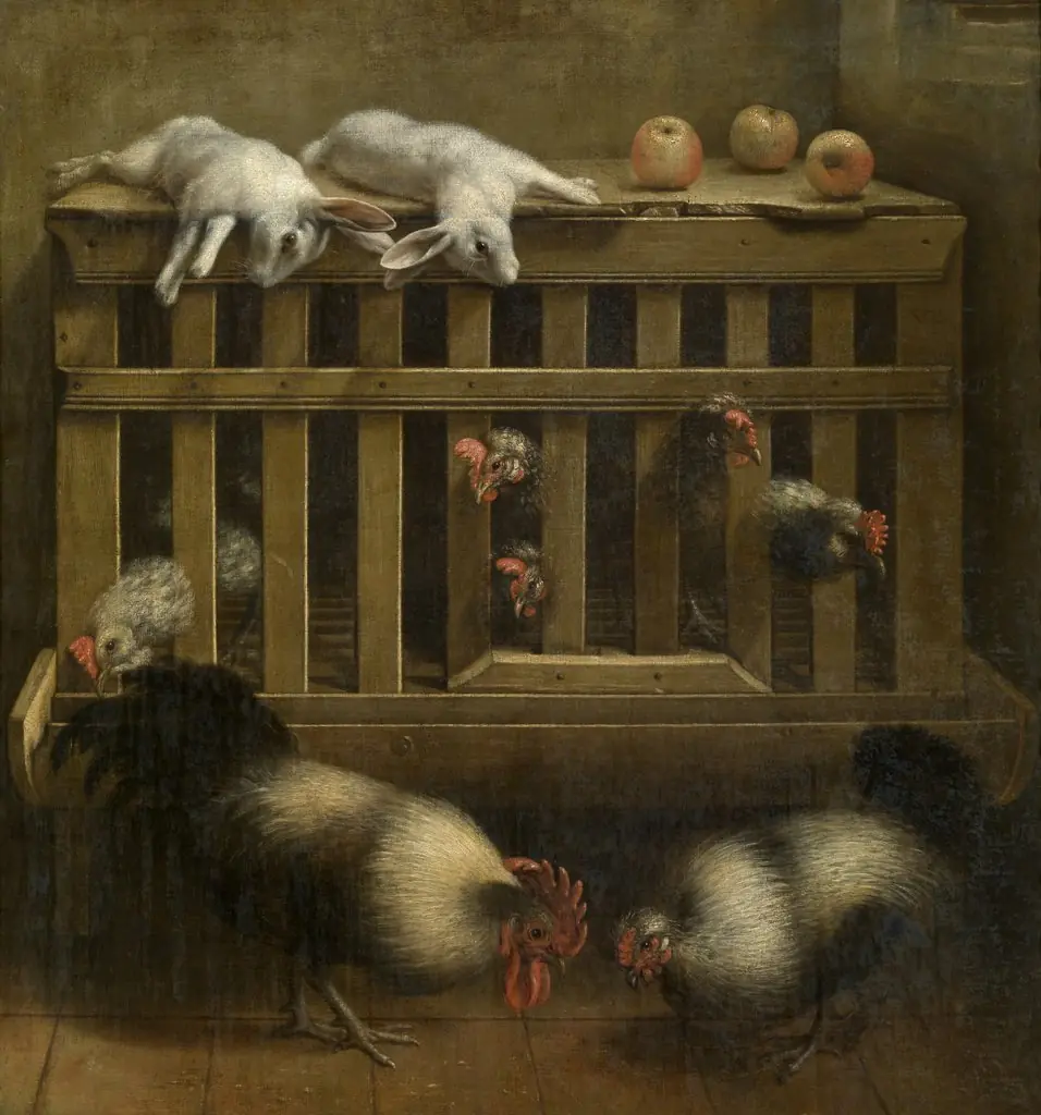 Fighting Cocks, by Jacob Biltius, oil, 1663