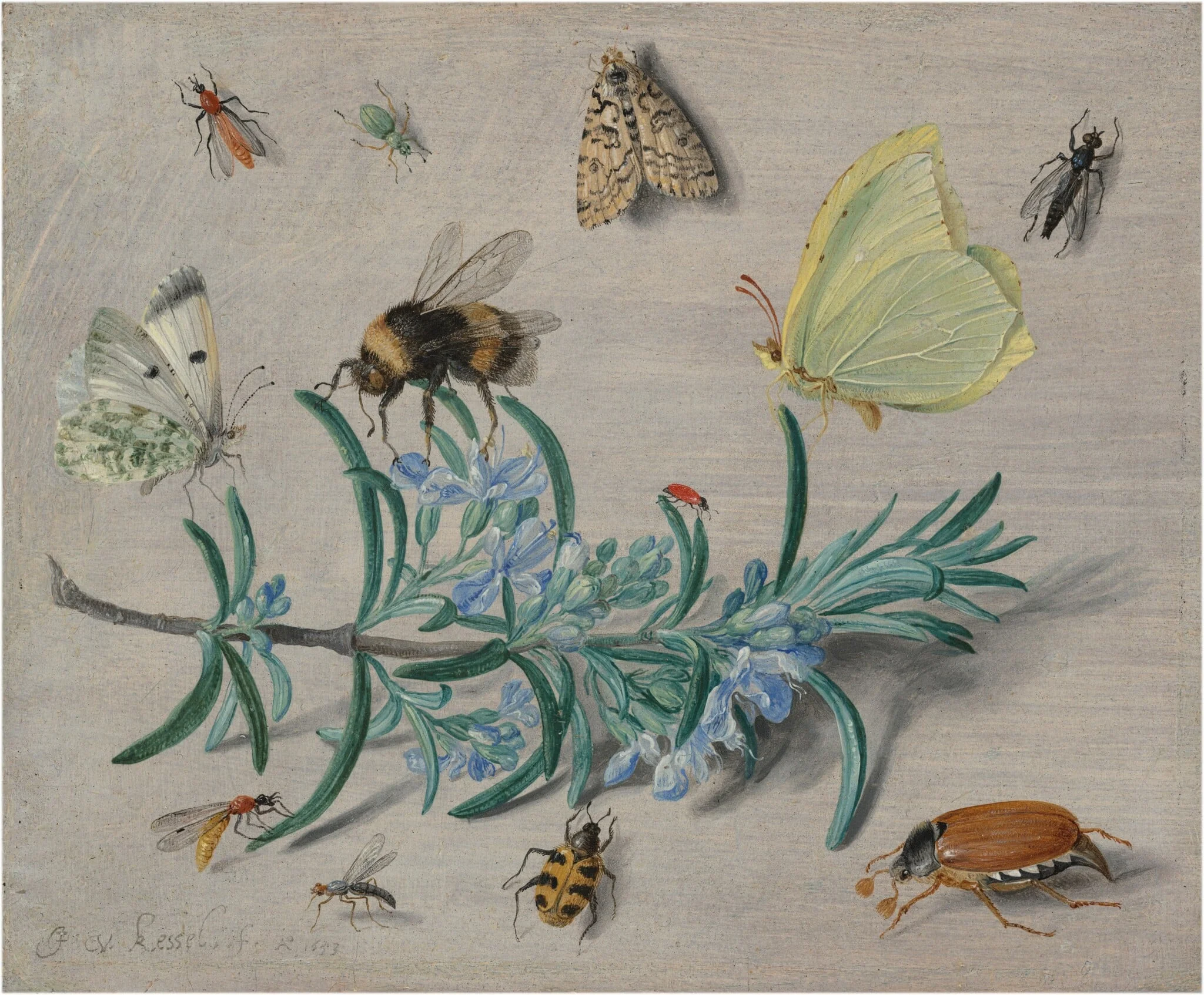 Insects and a Sprig of Rosemary, detail