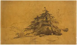 Study of Trees in a Landscape, by John Varley, ink, 1810
