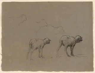 Studies of Sheep, by Jean-Ferdinand Chaigneau, chalk, 1864