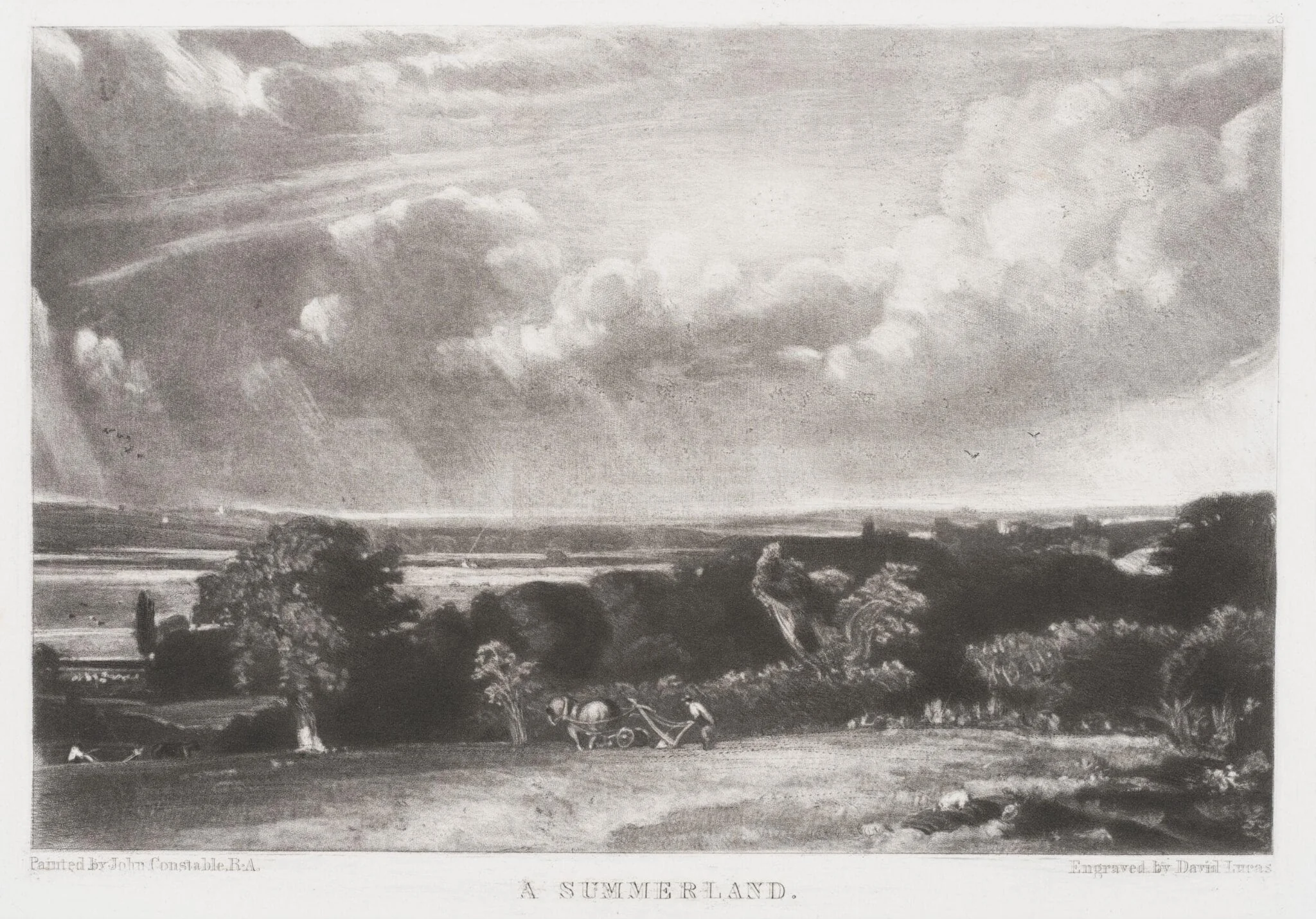 A SUMMERLAND, detail