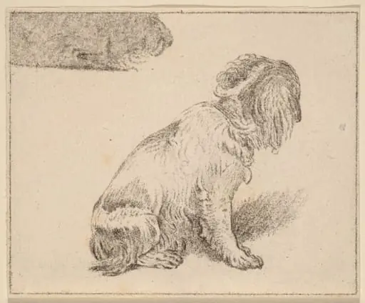Seated Dog, by Jacobus Buys, chalk, 1777