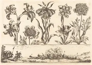 Flower Print no.8, by Nicolas Cochin, ink, 1645