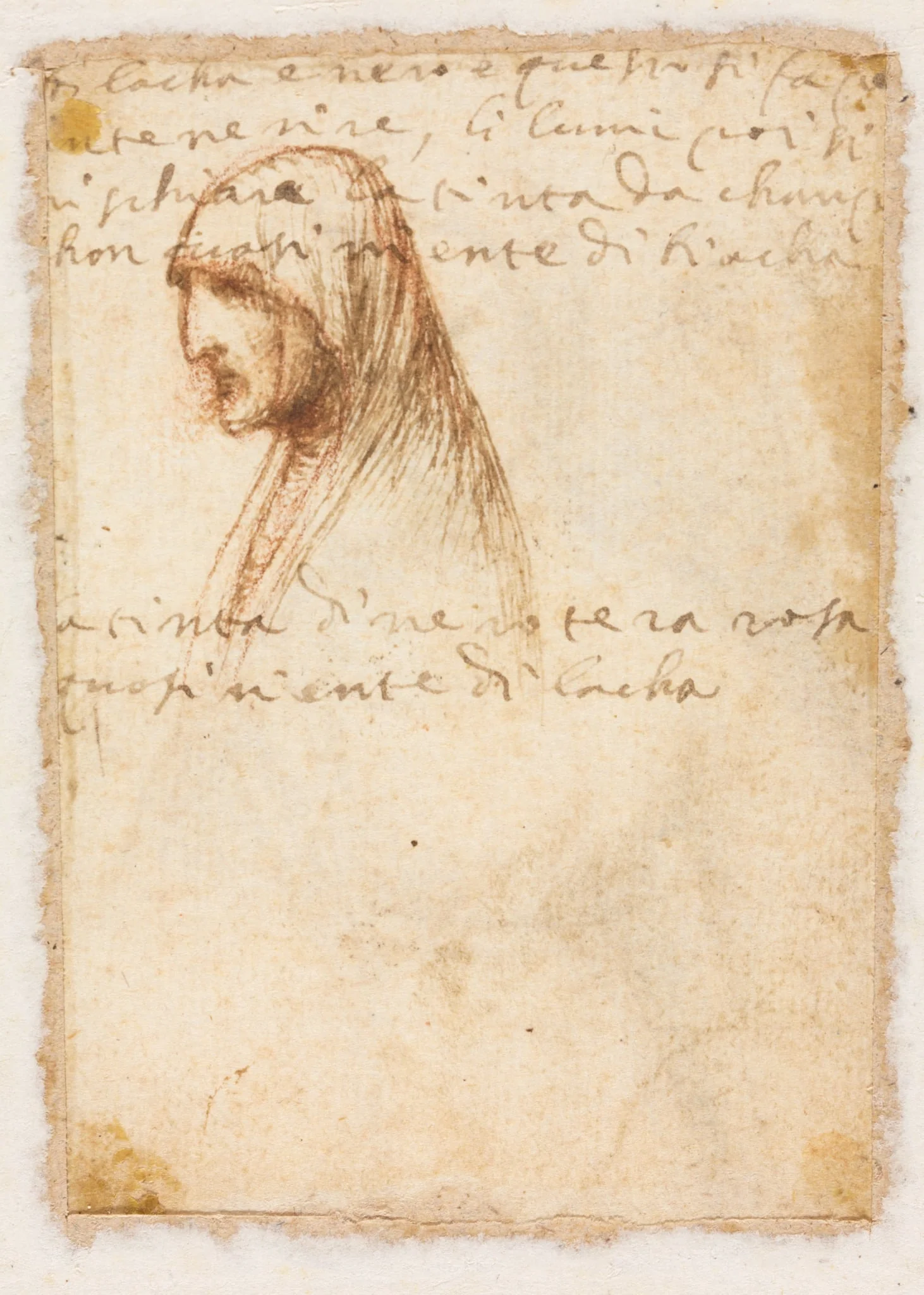 Bust-Length Profile of an Old Woman (verso), detail