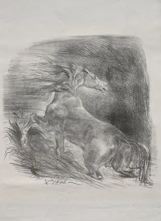 The Wild Horse, or Frightened Horse Leaving the Water, by Eugène Delacroix, 1828