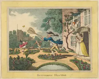 Butterfly Hunting, by Thomas Rowlandson, ink, 1806