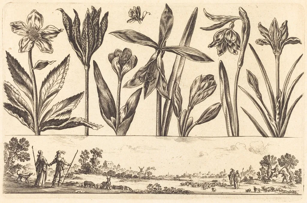 Flower Print no.4, by Nicolas Cochin, ink, 1645