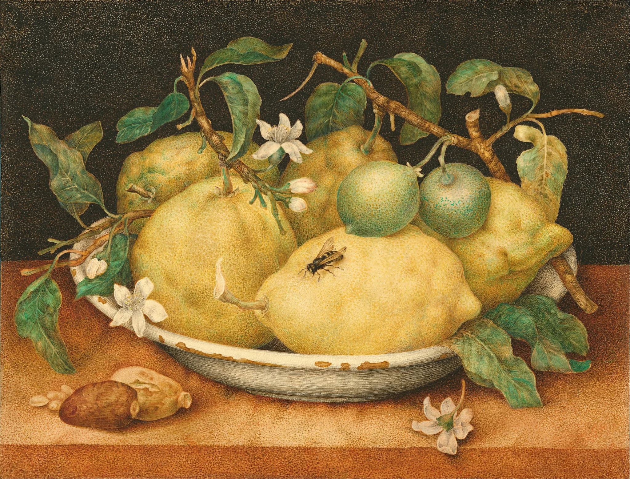 Still Life with Bowl of Citrons, detail