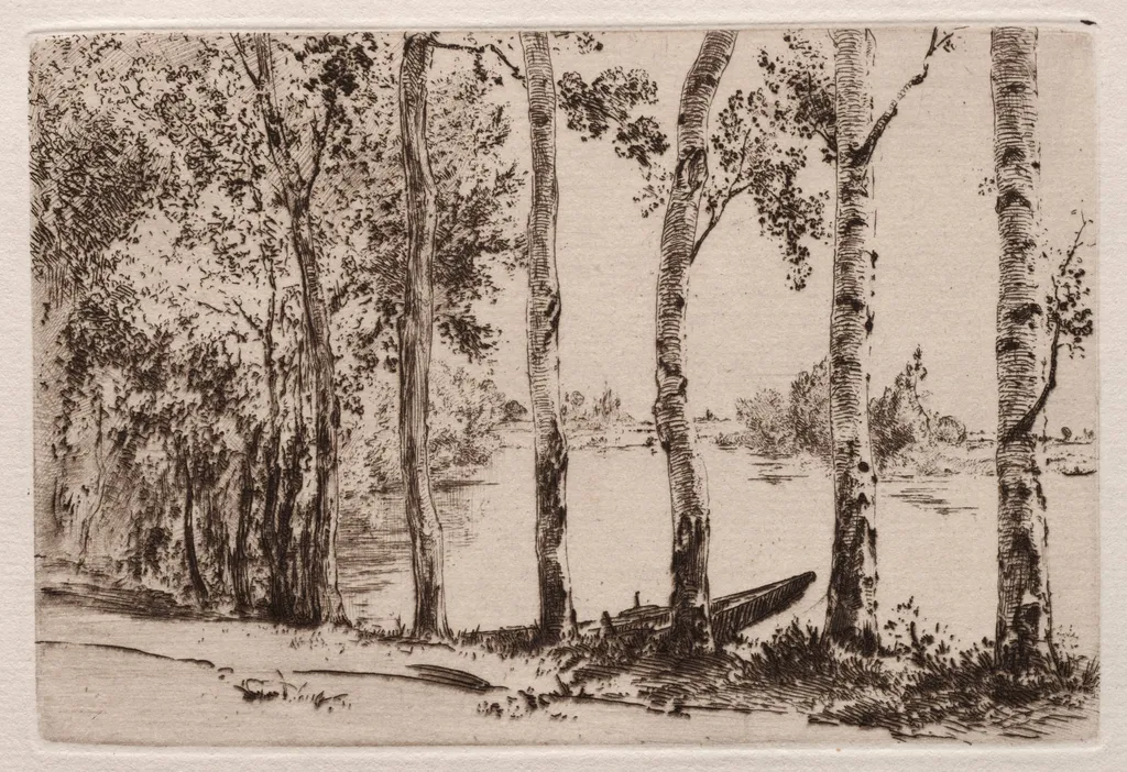 Aspens on the Bank of the Seine, by Félix Bracquemond, 1884