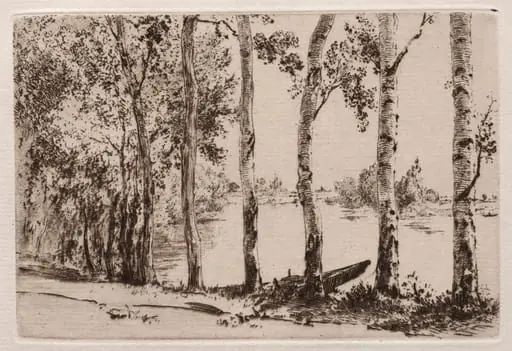 Aspens on the Bank of the Seine, by Félix Bracquemond, 1884