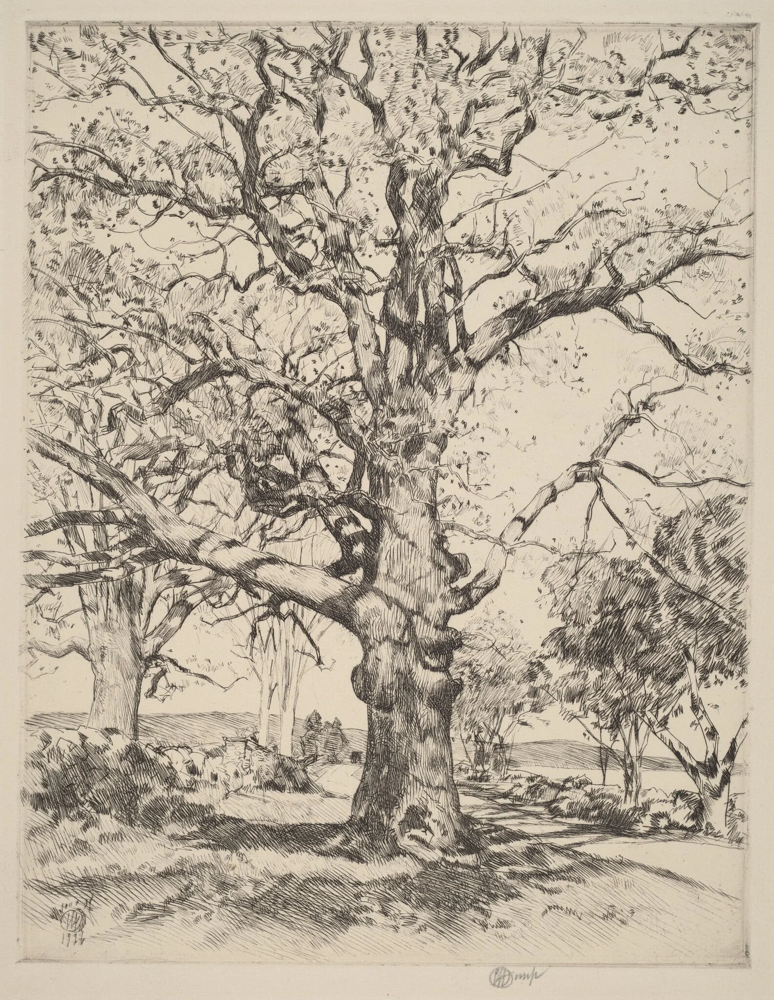 Wayside Inn—Oaks in Spring, detail