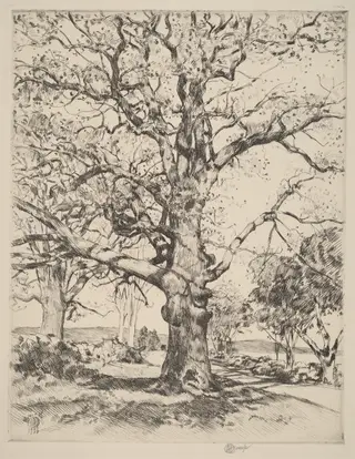 Wayside Inn—Oaks in Spring, by Childe Hassam, ink, 1926