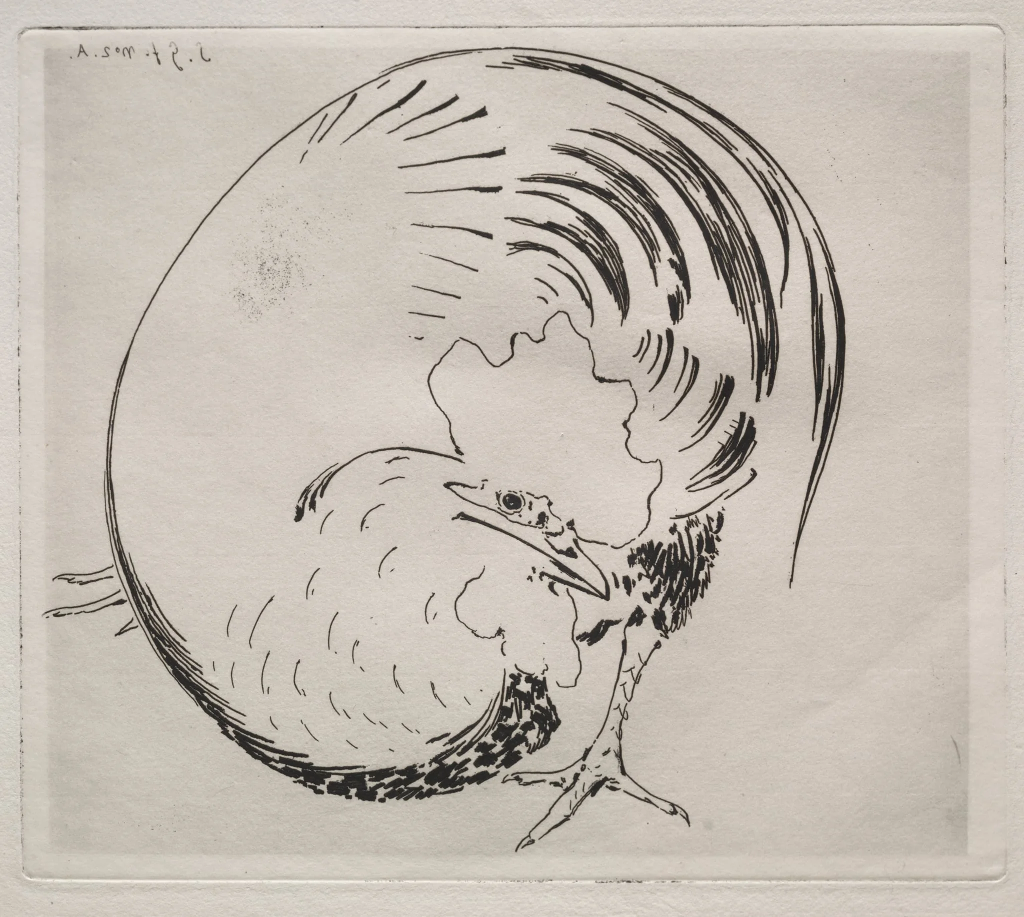 The High-Fired Service: Rooster, detail
