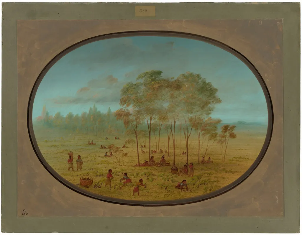 Kiowa Indians Gathering Wild Grapes, by George Catlin, oil, 1865