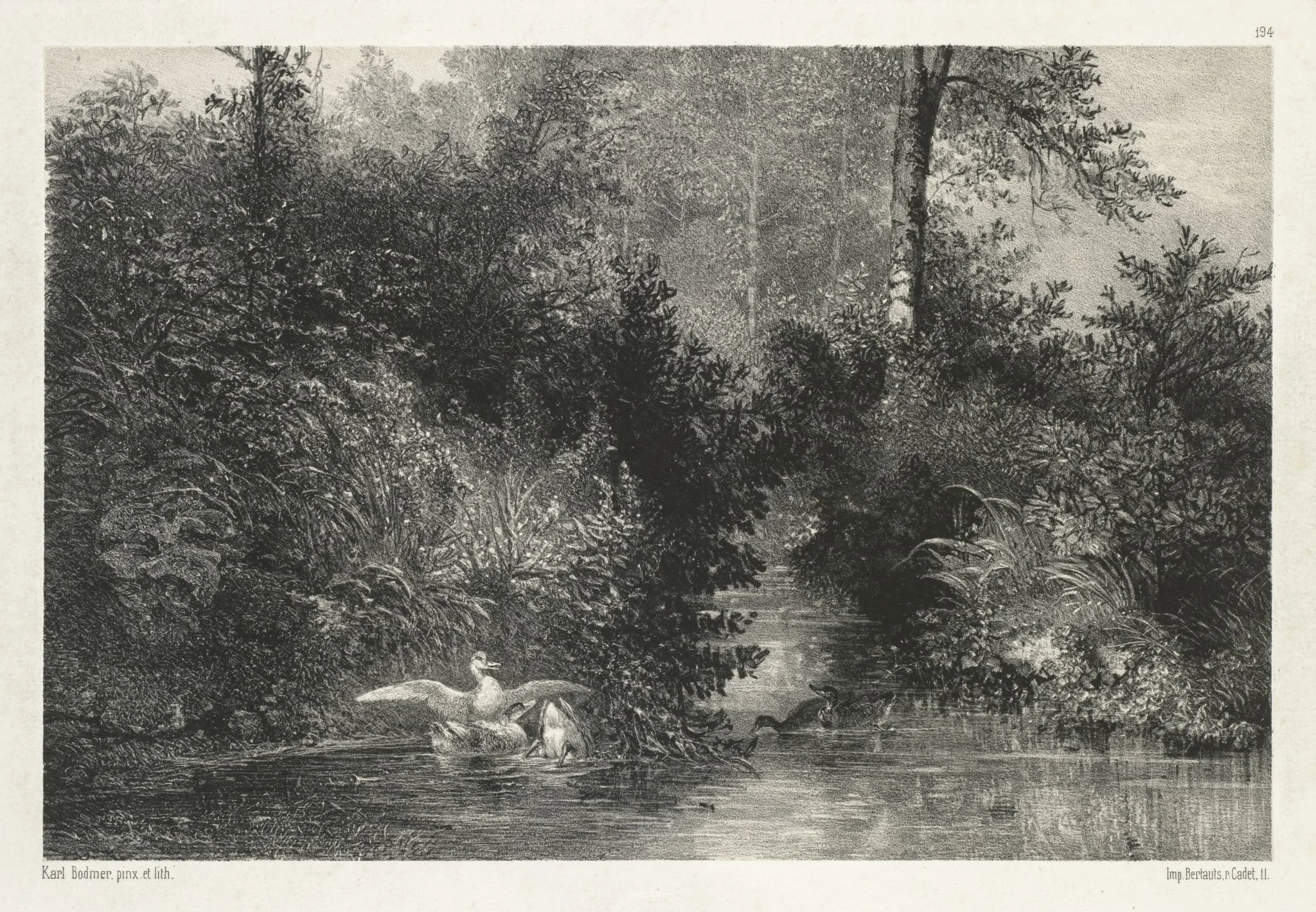 Canards (Ducks), detail