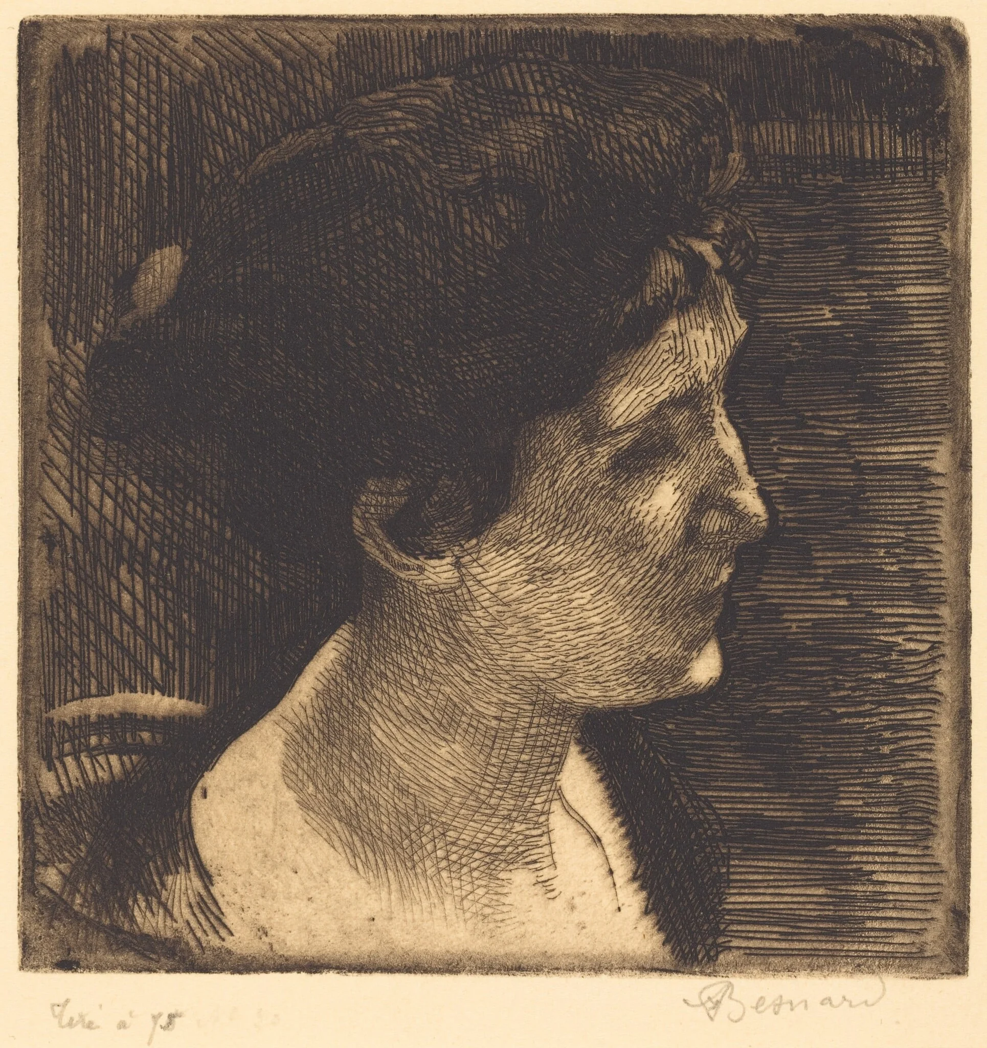 Woman in Full Profile (Grand profil de femme), detail