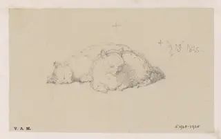 Two cats, by George Chinnery, 20