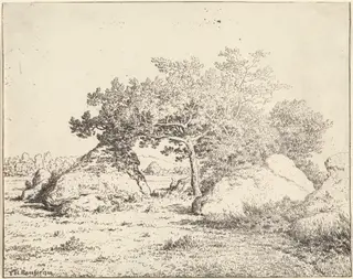 Le Cerisier de la Plante a Biau, by Théodore Rousseau, 1855