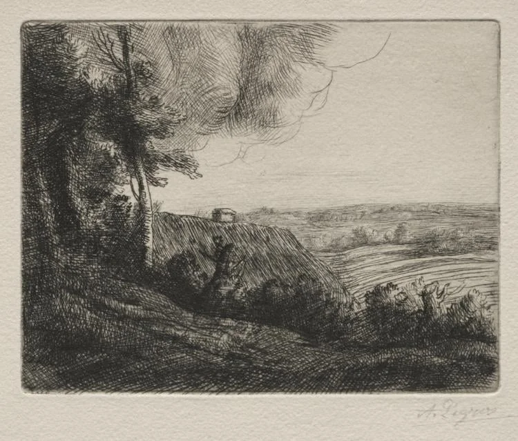 Landscape, detail